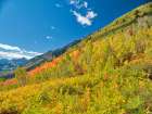 USA-Utah-Logan Pass Colorful autumn in Provo Pass Art Print
